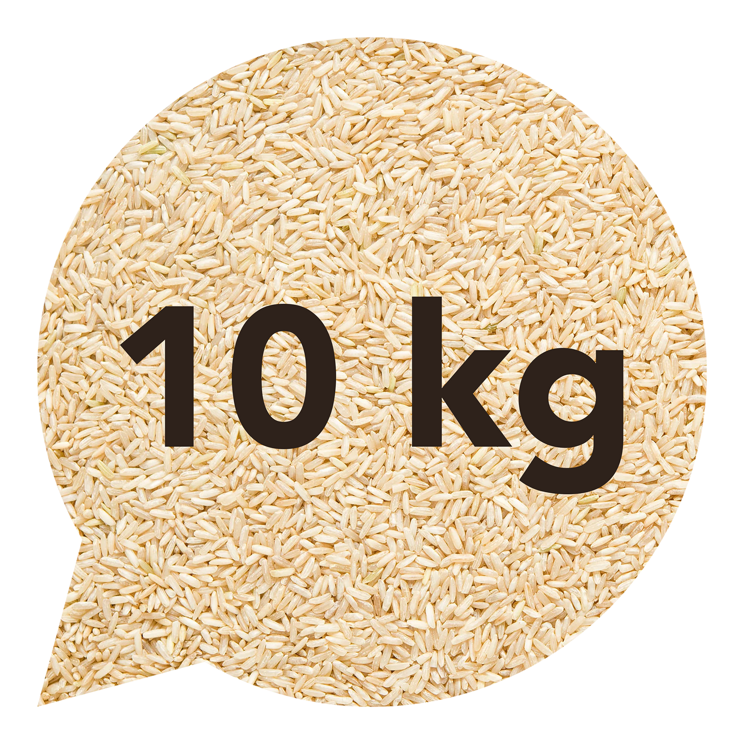 111126 Rýže basmati natural 10 kg BIO BIO NEBIO-1