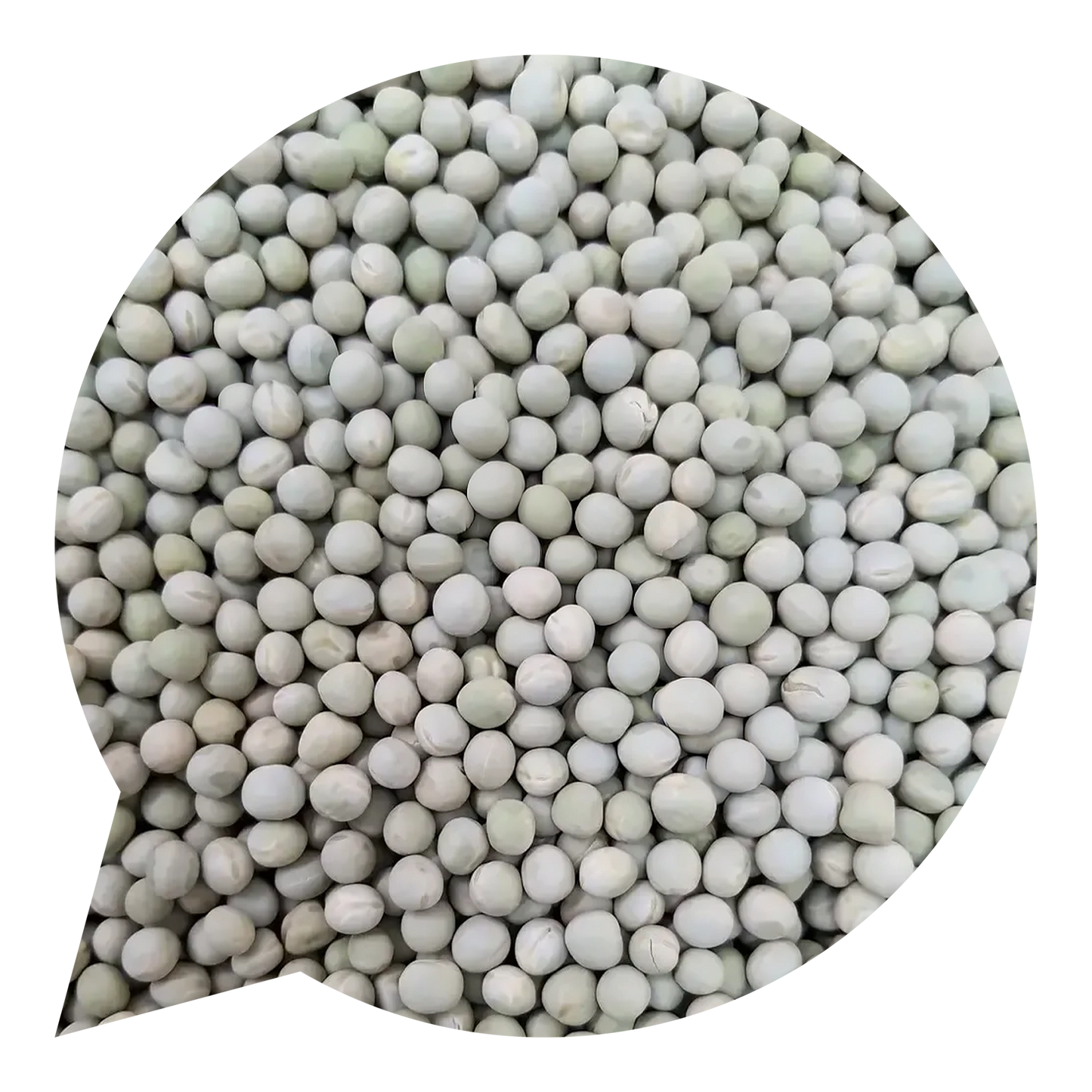 120055 Hrách zelený celý BIO-1