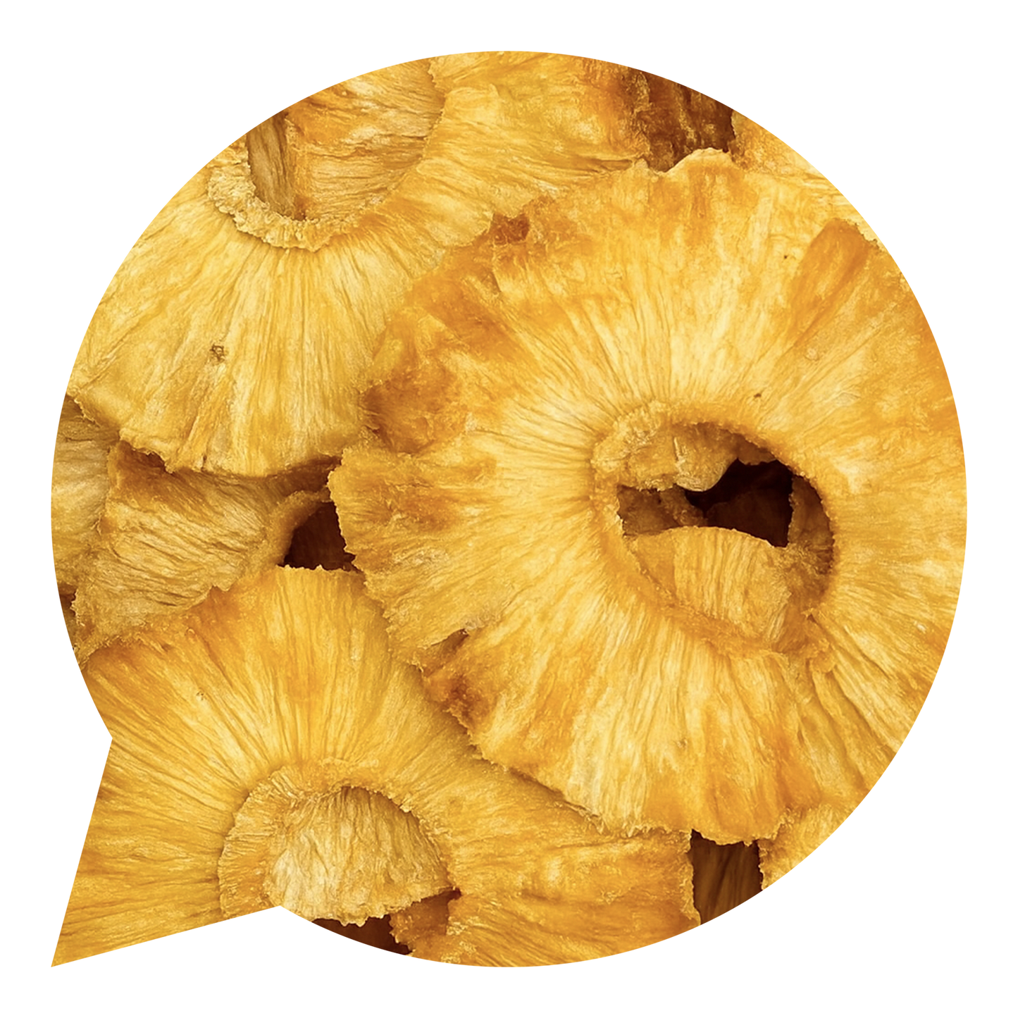 150008 Ananas kroužky sušené BIO-1