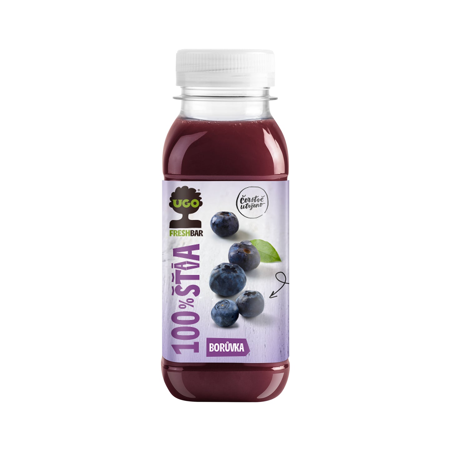 719039 Šťáva 100 % borůvka 250 ml UGO-1