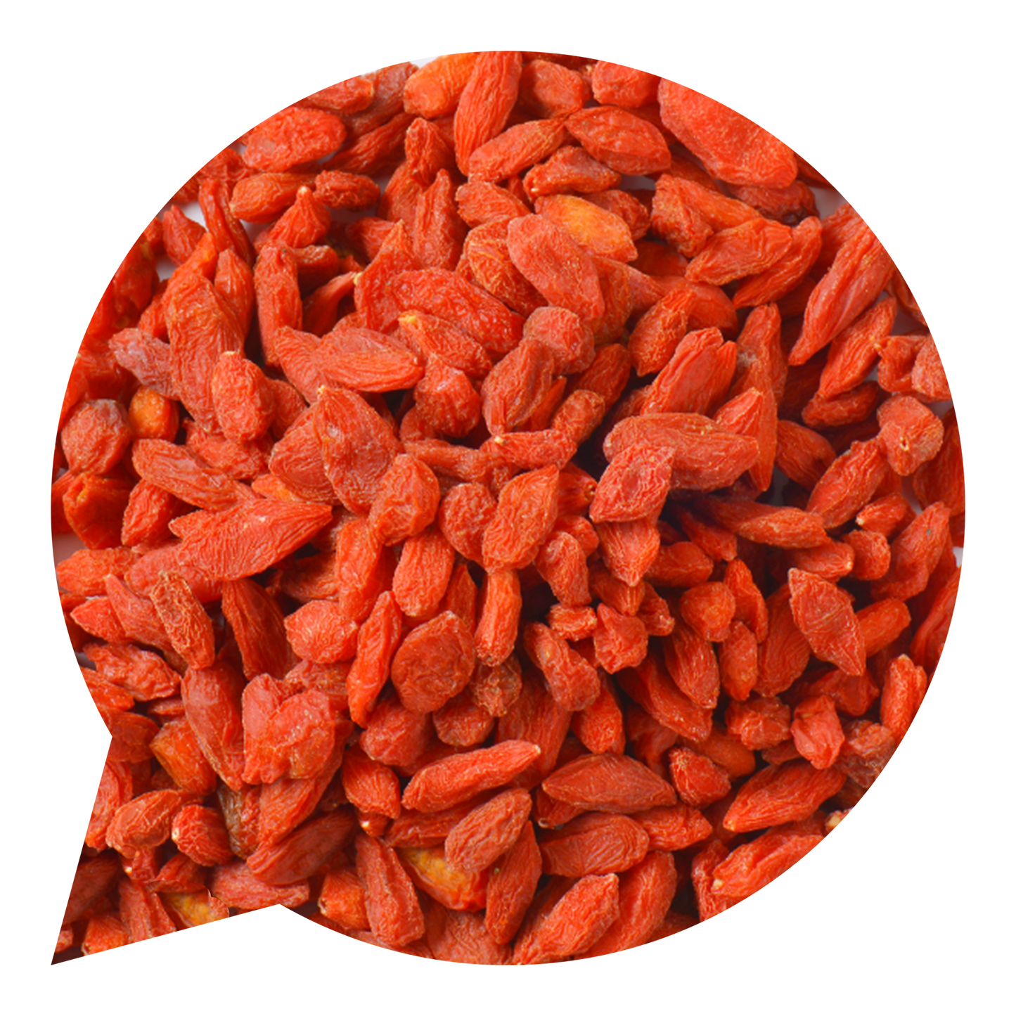 820023 Kustovnice čínská goji BIO-1