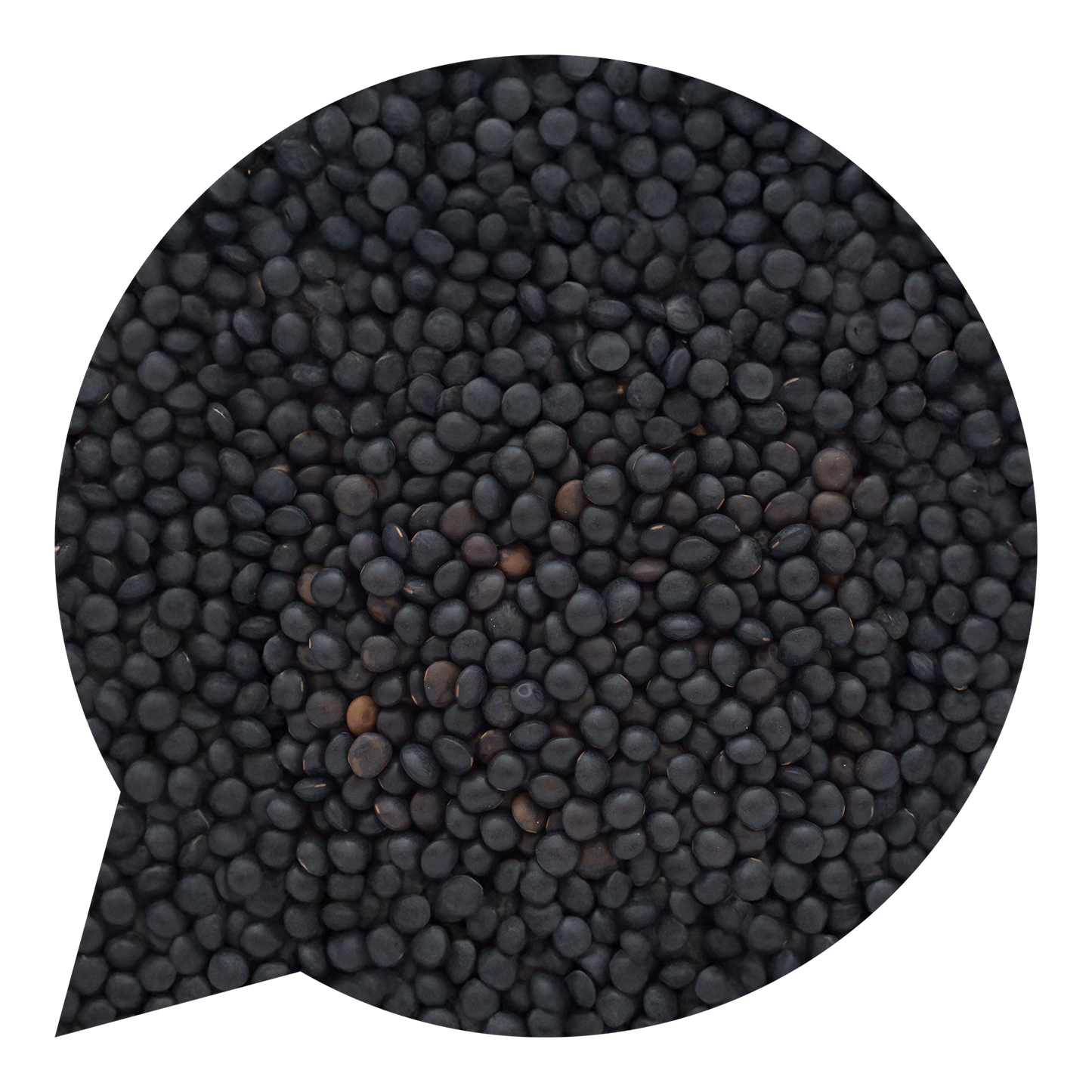 820159 Čočka černá beluga BIO-1