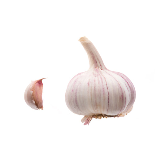 165037 Česnek BIO /CZ/-1
