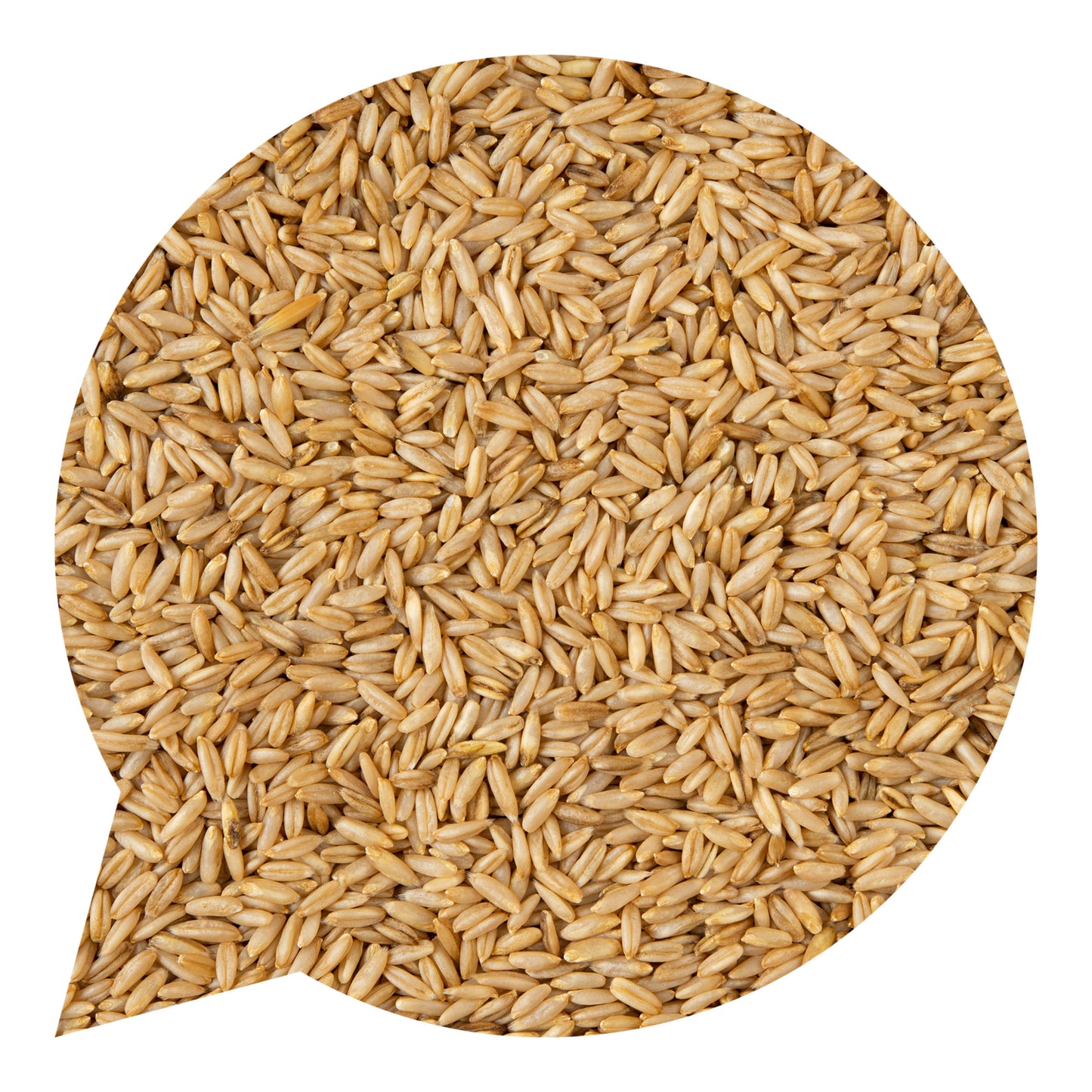 110028 Oves bezpluchý BIO-2