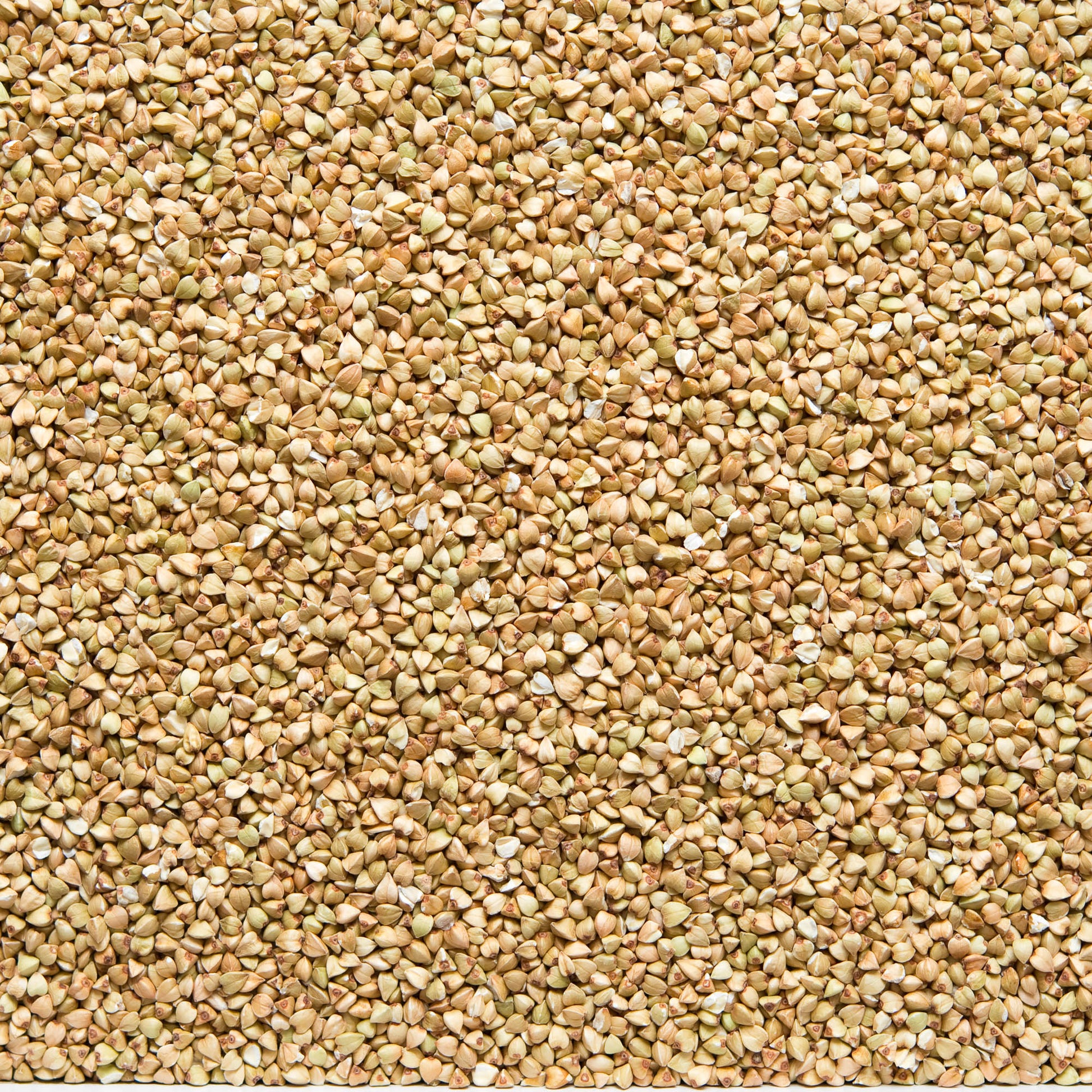 111057 Pohanka loupaná kroupy 5 kg BIO   COUNTRY LIFE-3
