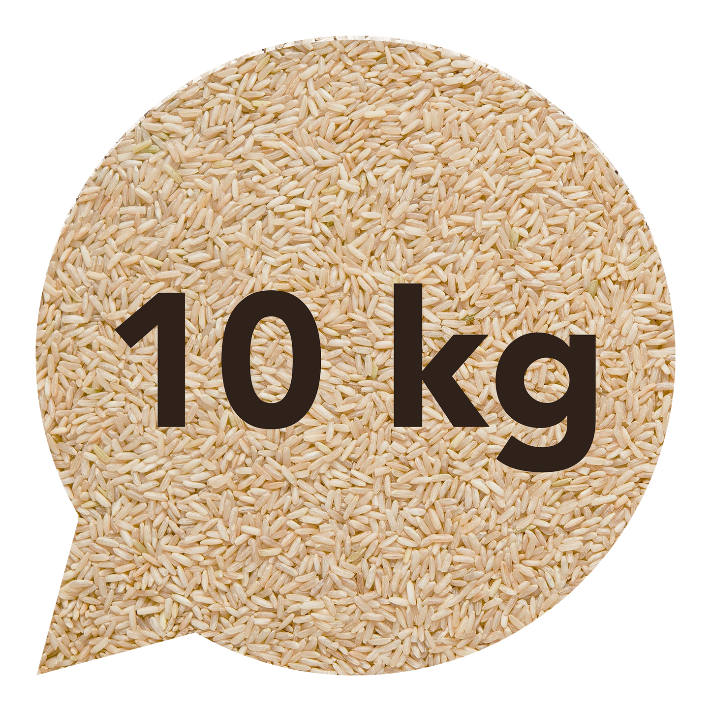 111128 Rýže dlouhozrnná indica natural 10 kg BIO   BIO NEBIO-1