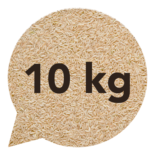 111128 Rýže dlouhozrnná indica natural 10 kg BIO   BIO NEBIO-1