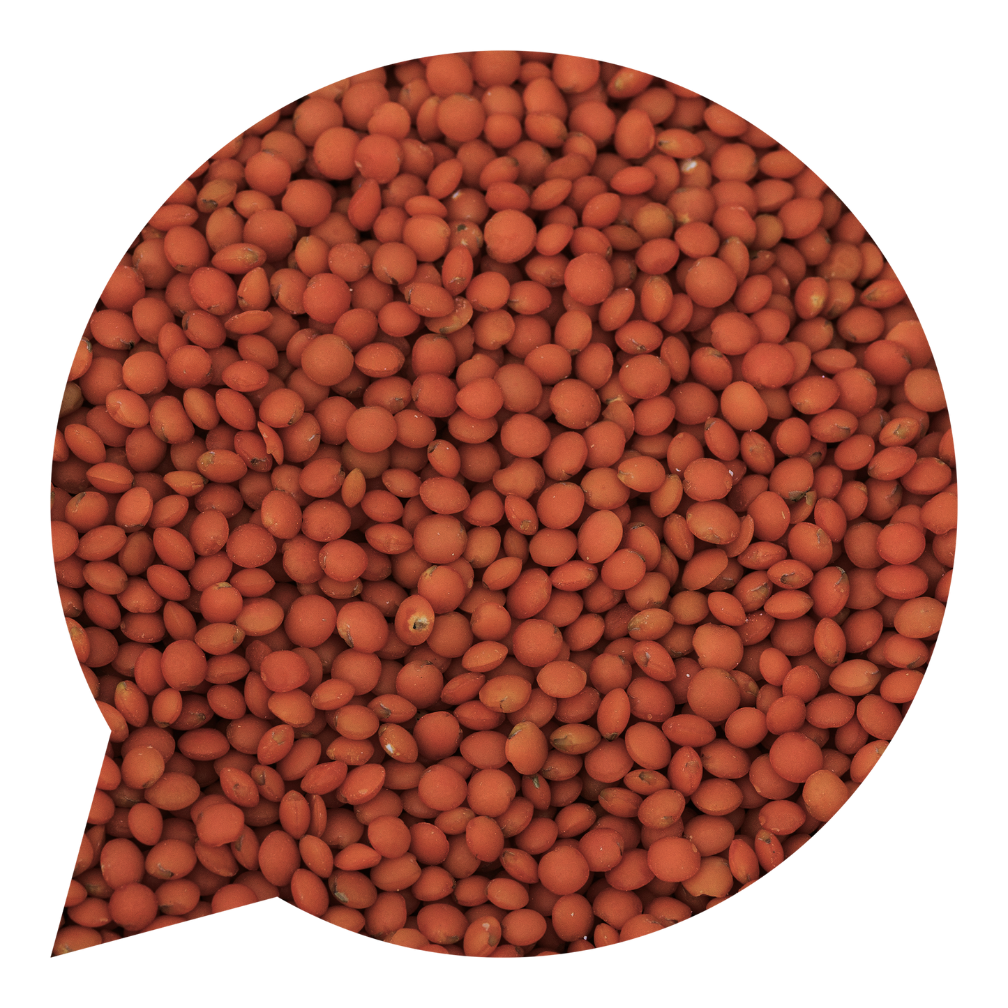 120006 Čočka červená celá neloupaná BIO-1