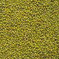 120039 Fazole mungo 5 kg BIO   COUNTRY LIFE-3