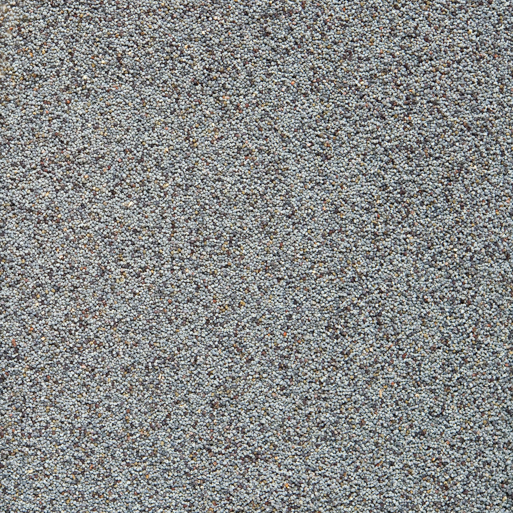130068 Mák modrý 5 kg BIO   COUNTRY LIFE-3