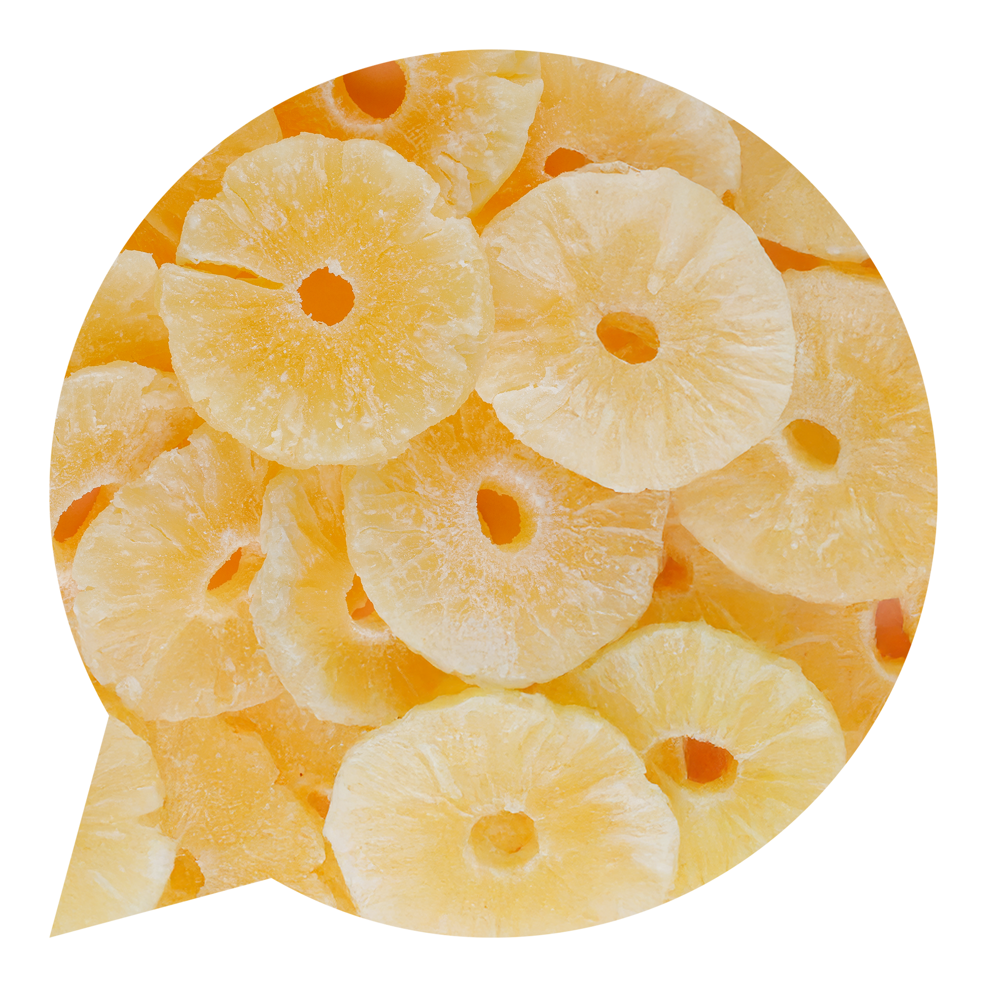 150008 Ananas kroužky sušené BIO-1