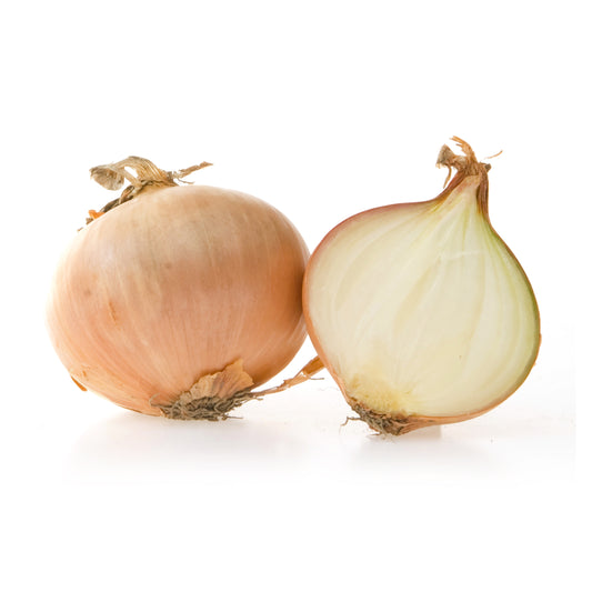 165542 Cibule žlutá BIO (síťka 1 kg)-1