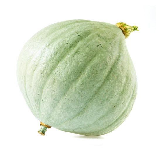 165380 Dýně „Blue Ballet" BIO (ks) /CZ/ -1