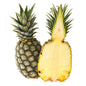 155013 Ananas BIO (ks) /CI/-1