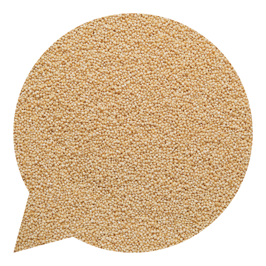 260072 Kuskus špaldový celozrnný BIO-1