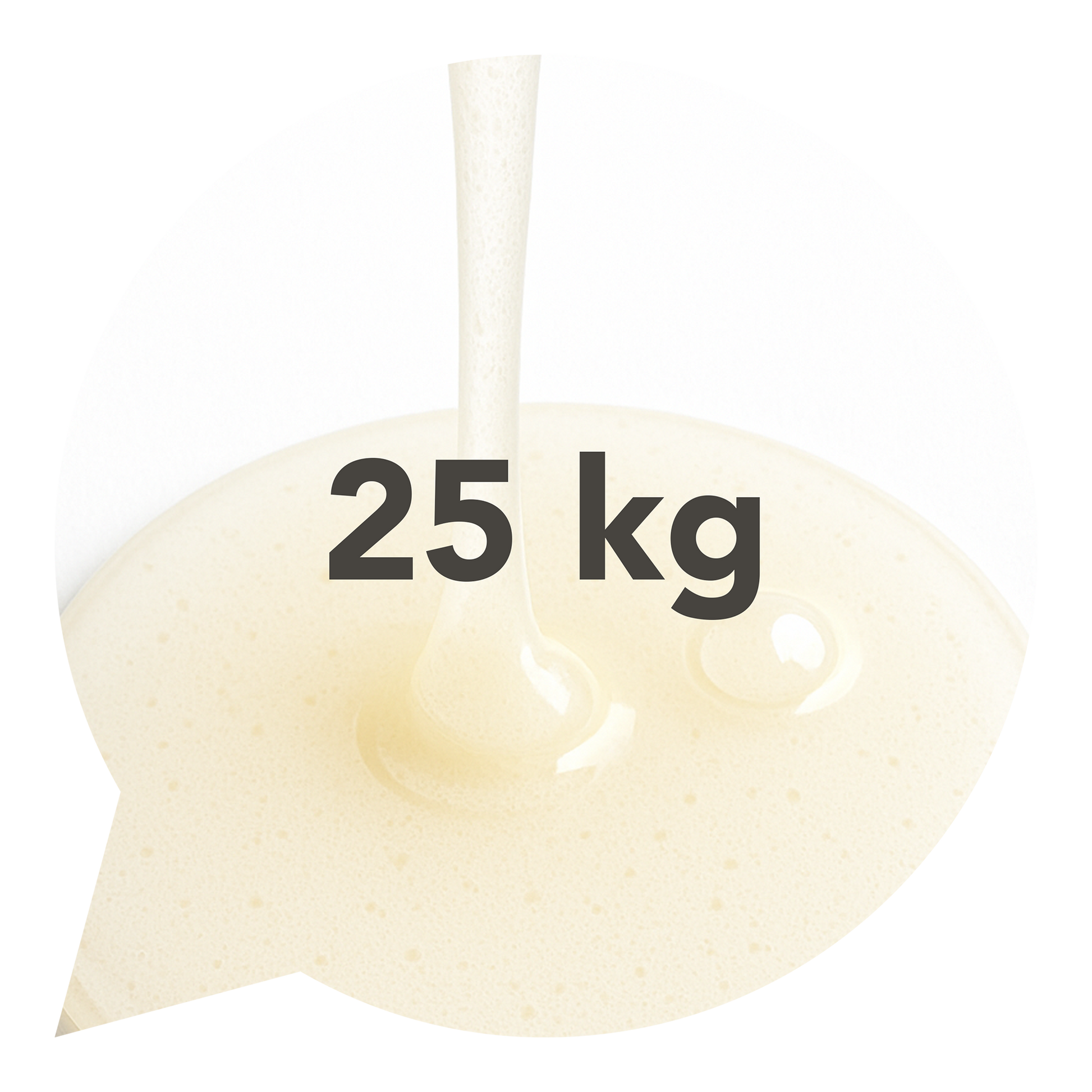 420008 Sirup rýžový 25kg BIO   -1