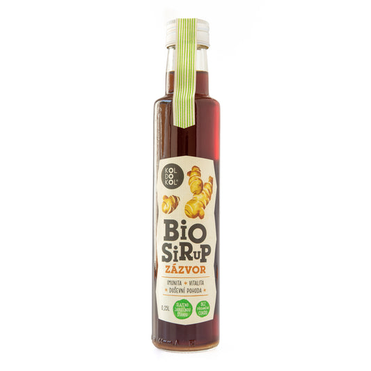 420107 Sirup zázvor bez přidaného cukru 250 ml BIO   KOLDOKOL-1