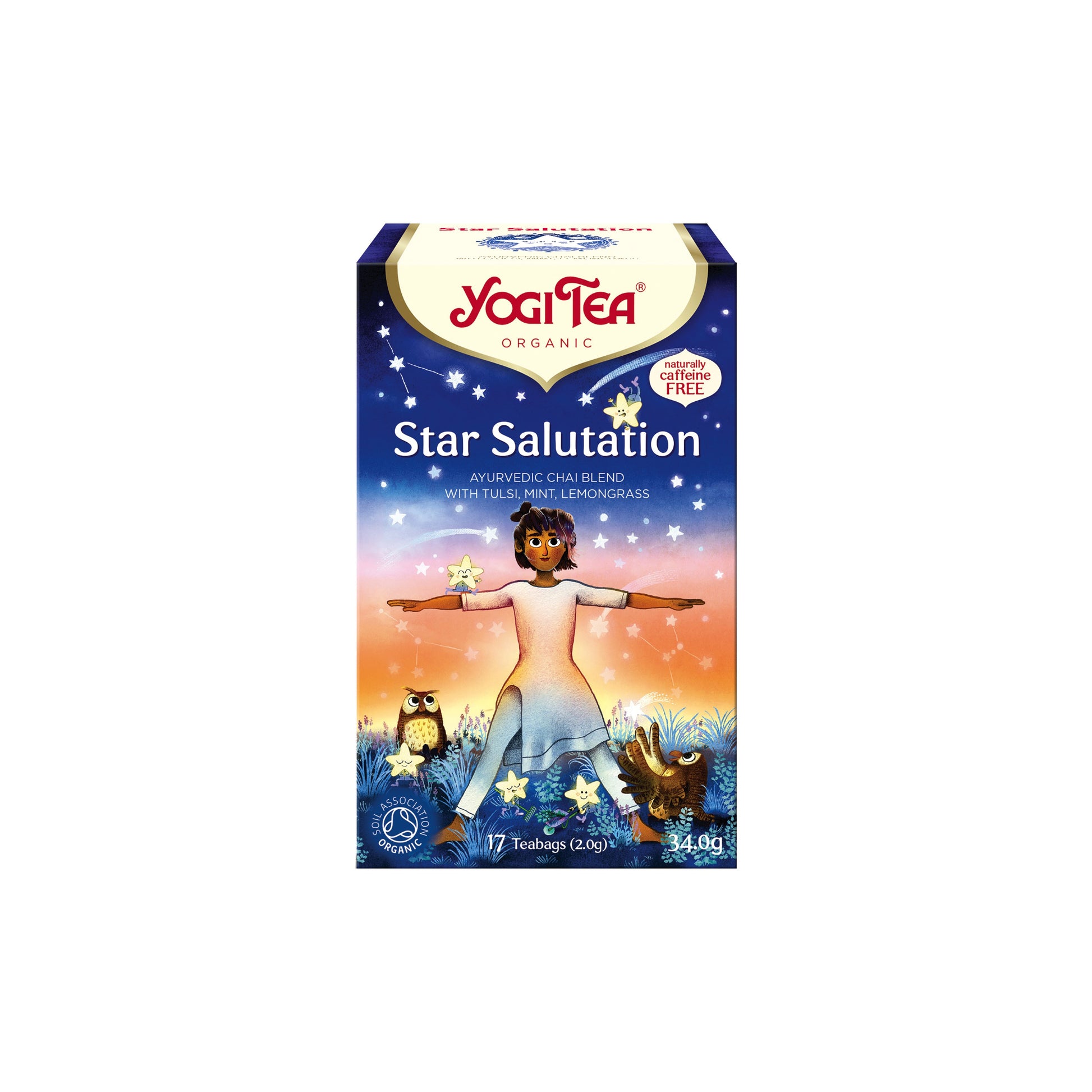 510554 Čaj Pozdrav hvězdám 17 sáčků 32,3 g BIO   YOGI TEA-1