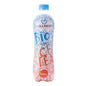 570048 Čaj ledový broskev 500 ml BIO   HOLLINGER-1