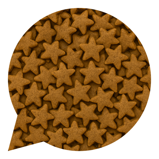 820027 Hvězdičky kakaové s Rapadurou BIO-1