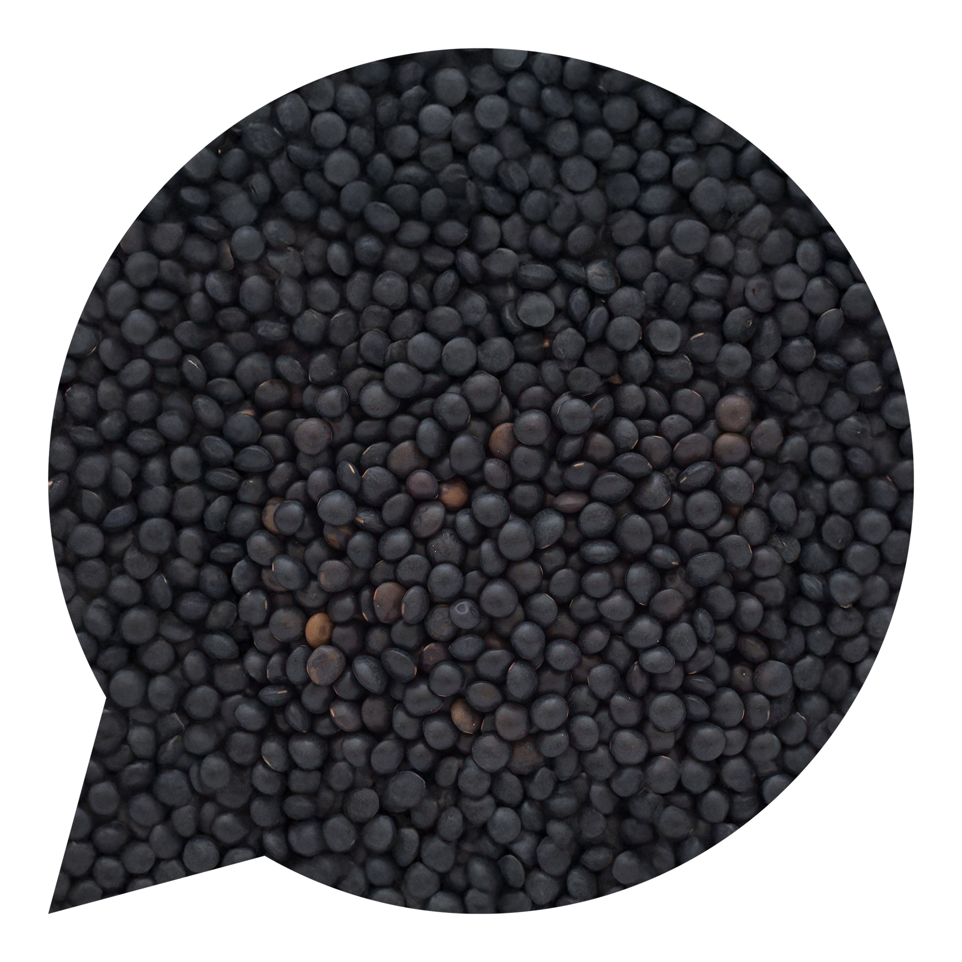 820159 Čočka černá beluga BIO-1