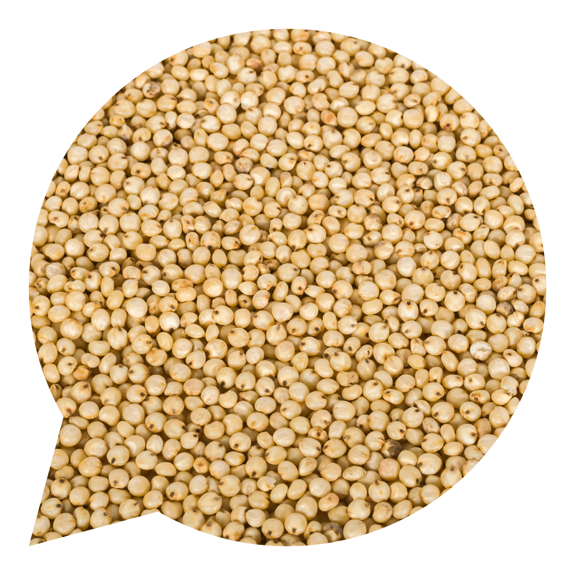 820162 Jáhly BIO-1