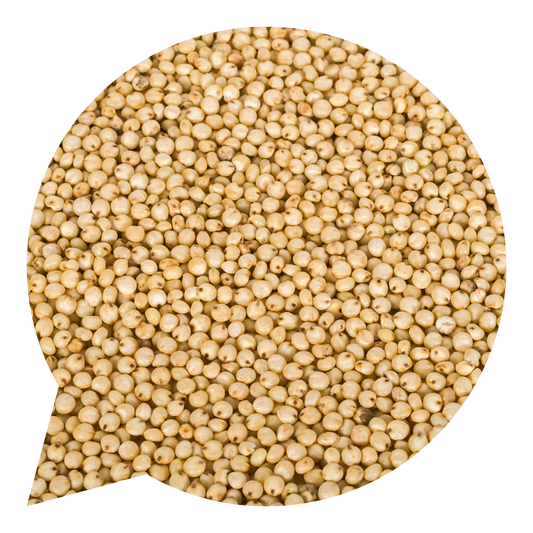 820162 Jáhly BIO-1