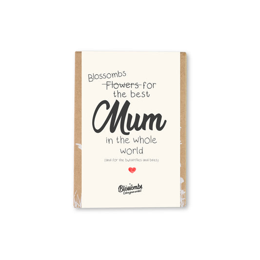 900111 Bomby semínkové - Dárková sada mini "Pro nejlepší maminku" 4 ks   BLOSSOMBS-1