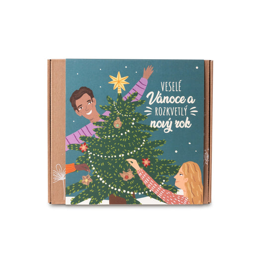 900116 Bomby semínkové - Dárková sada střední - Veselé Vánoce 9 ks   BLOSSOMBS-1