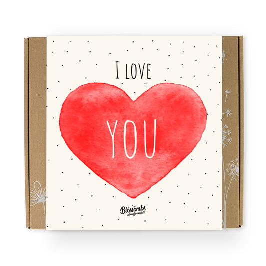 900117 Bomby semínkové - Dárková sada střední "Miluji tě" 9 ks   BLOSSOMBS-1