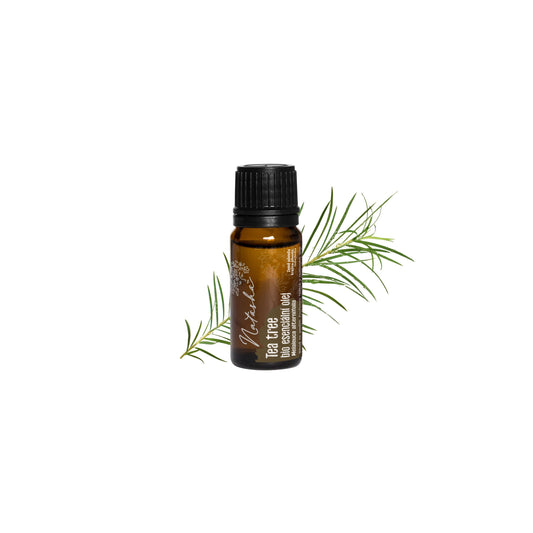901980 Olej esenciální - Tea Tree 10 ml BIO   NATASHA-1