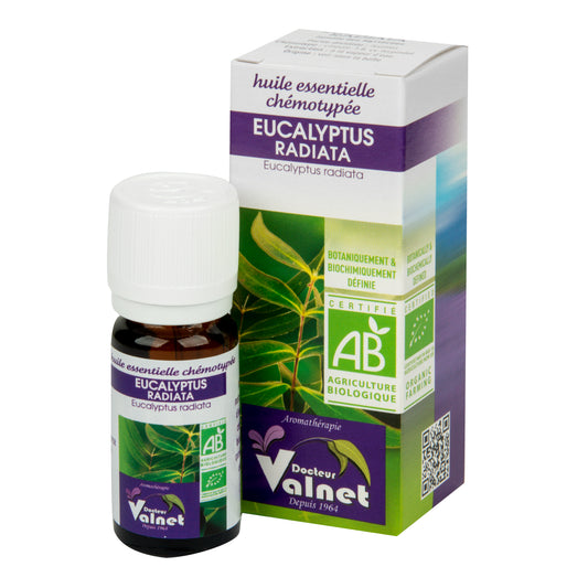 930024 Éterický olej eukalyptus radiata 10 ml BIO   COSBIONAT-1